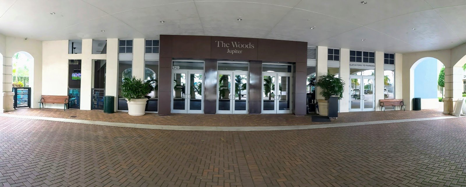 THE WOODS