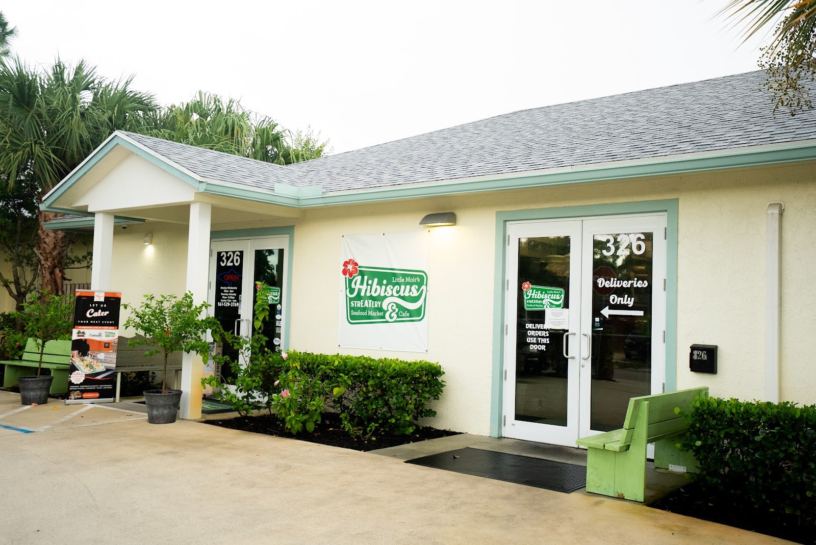LITTLE MOIR'S HIBISCUS STREATERY